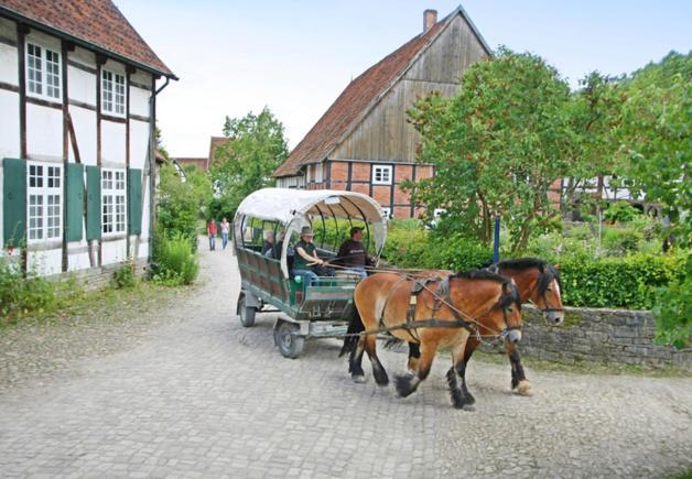Schillerweg 3 Ferienwohnung Horn-Bad Meinberg Exterior foto